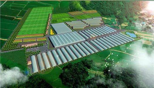 推動產業(yè)升級 2023年農業(yè)農村部重點發(fā)展鄉(xiāng)村旅游與農產品精深加工